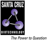 Santa Cruz Biotechnology (SCBT) SCBT Portrait Logo